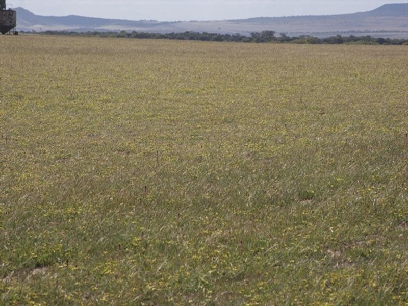 Lot 51 Mt Horner Road West, Allanooka WA 6525