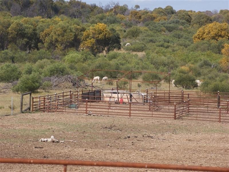 Lot 51 Mt Horner Road West, Allanooka WA 6525