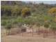 Lot 51 Mt Horner Road West, Allanooka WA 6525