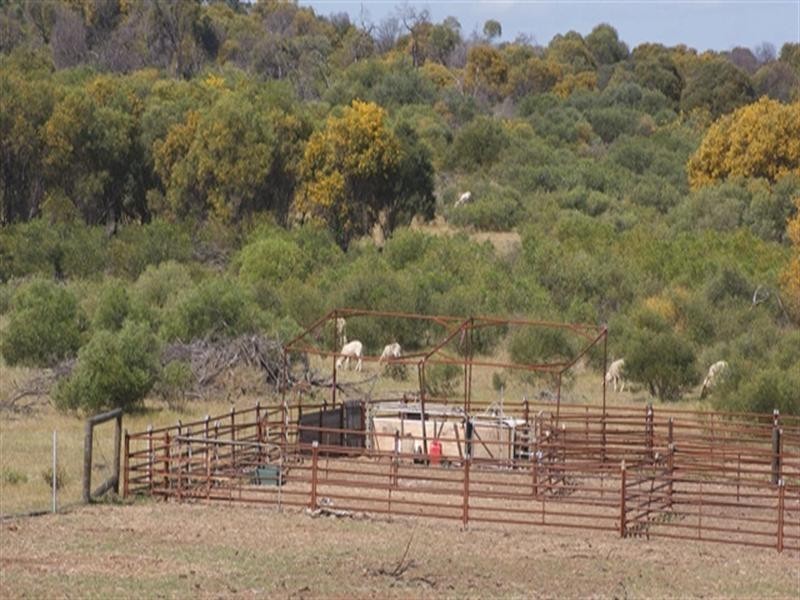 Lot 51 Mt Horner Road West, Allanooka WA 6525