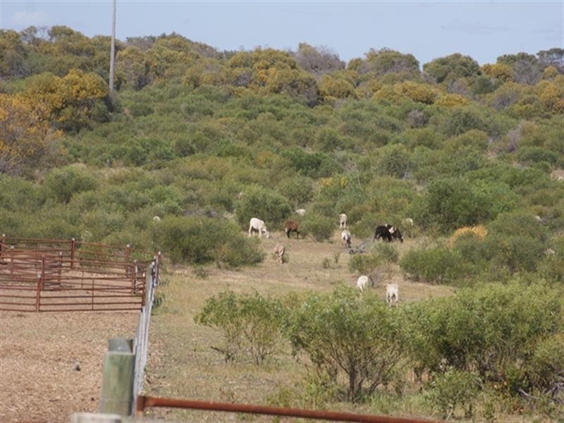 Lot 51 Mt Horner Road West, Allanooka WA 6525