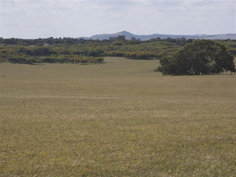 Lot 51 Mt Horner Road West, Allanooka WA 6525