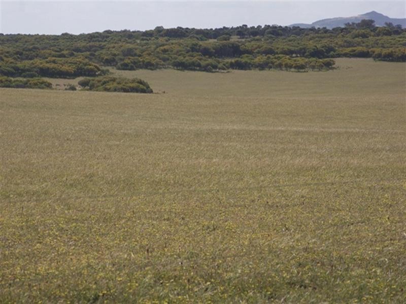 Lot 51 Mt Horner Road West, Allanooka WA 6525