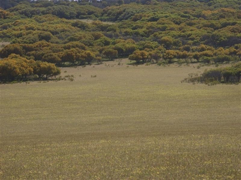 Lot 51 Mt Horner Road West, Allanooka WA 6525