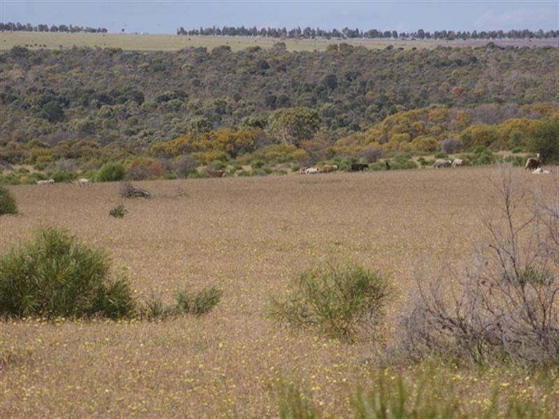 Lot 51 Mt Horner Road West, Allanooka WA 6525