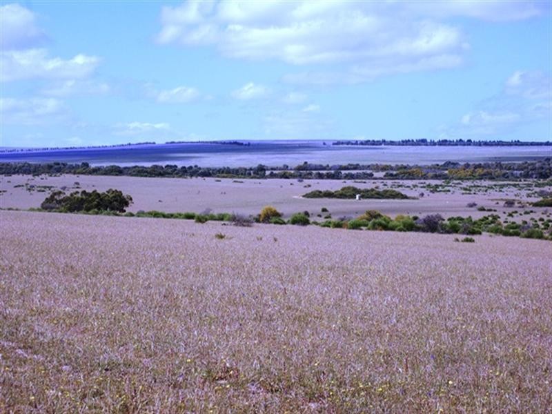 Lot 51 Mt Horner Road West, Allanooka WA 6525