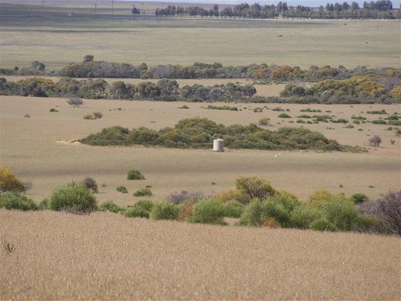 Lot 51 Mt Horner Road West, Allanooka WA 6525