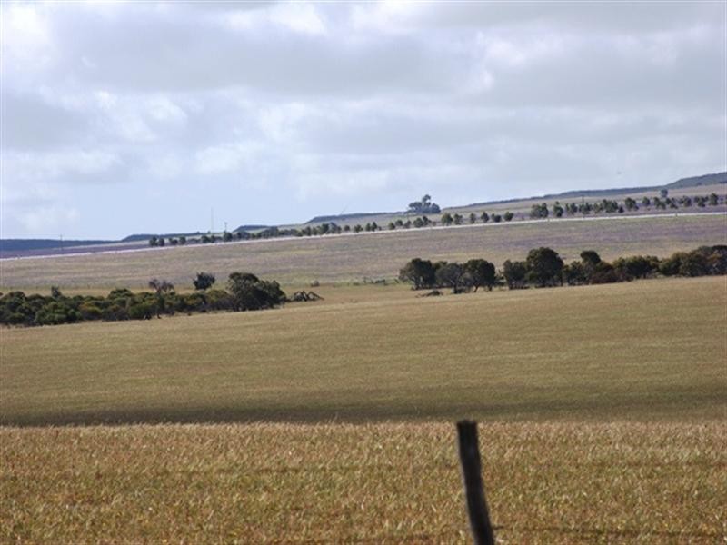 Lot 51 Mt Horner Road West, Allanooka WA 6525