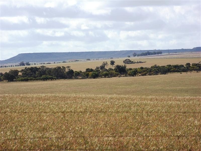 Lot 51 Mt Horner Road West, Allanooka WA 6525