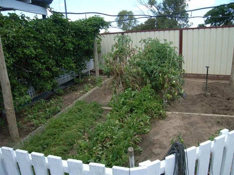 23/50 Waldeck Street, Dongara WA 6525