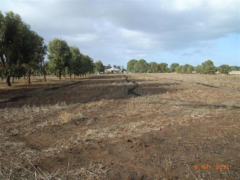 22 Bonniefield East Road, Dongara WA 6525