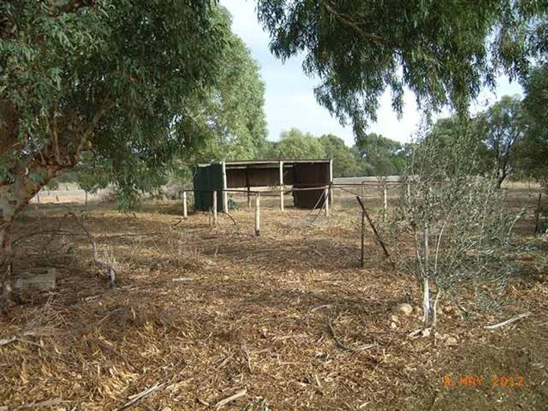 22 Bonniefield East Road, Dongara WA 6525