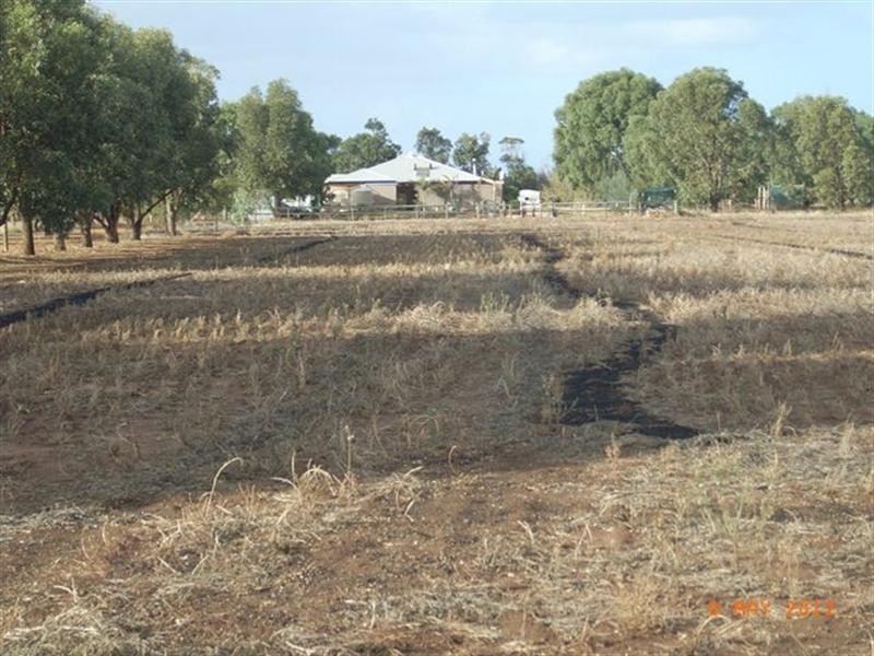 22 Bonniefield East Road, Dongara WA 6525