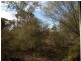 Lot 84 Livingstone Street, Perenjori WA 6620
