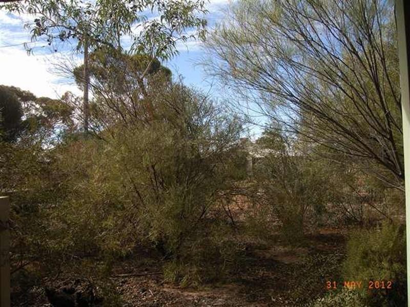 Lot 84 Livingstone Street, Perenjori WA 6620