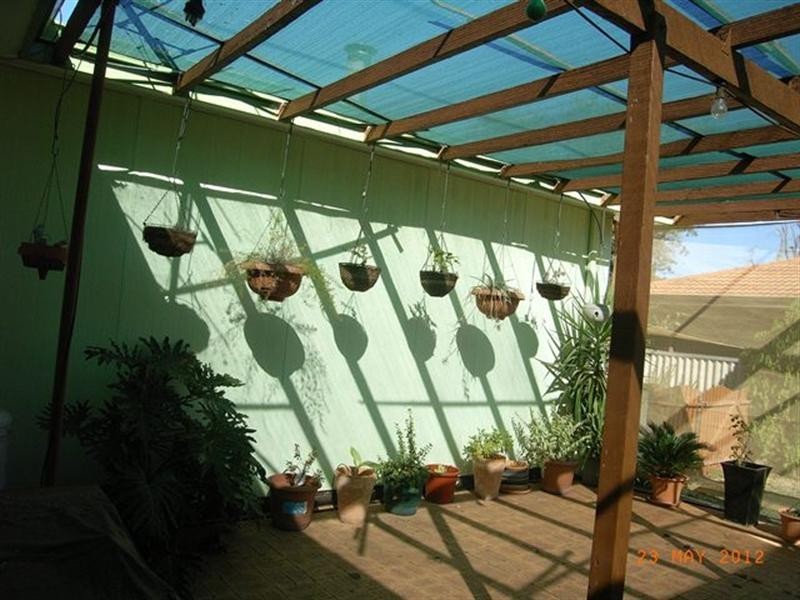 19 Franklin Street, Three Springs WA 6519