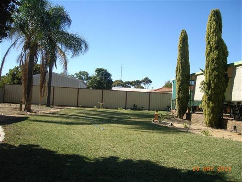 19 Franklin Street, Three Springs WA 6519