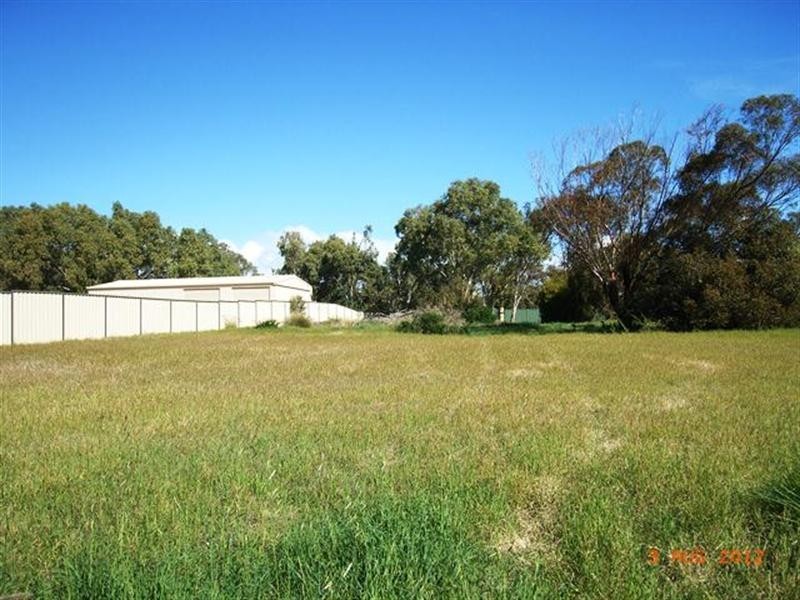 10 Bayliss Road, Dongara WA 6525