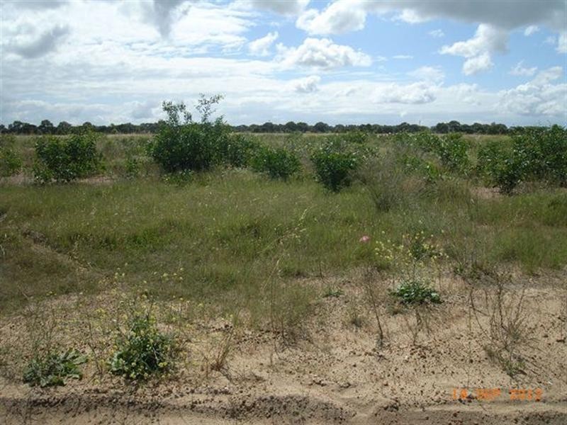 13 Cardwell Gardens, Dongara WA 6525