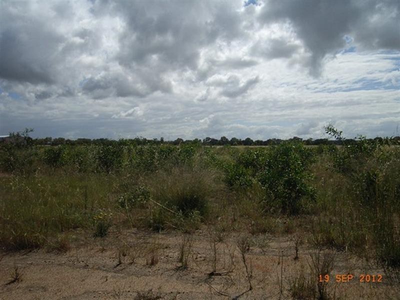 13 Cardwell Gardens, Dongara WA 6525