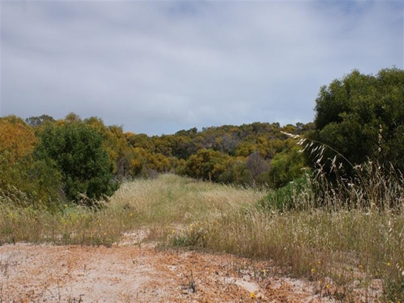 Lot 127 Bottlebrush Cove, Port Denison WA 6525