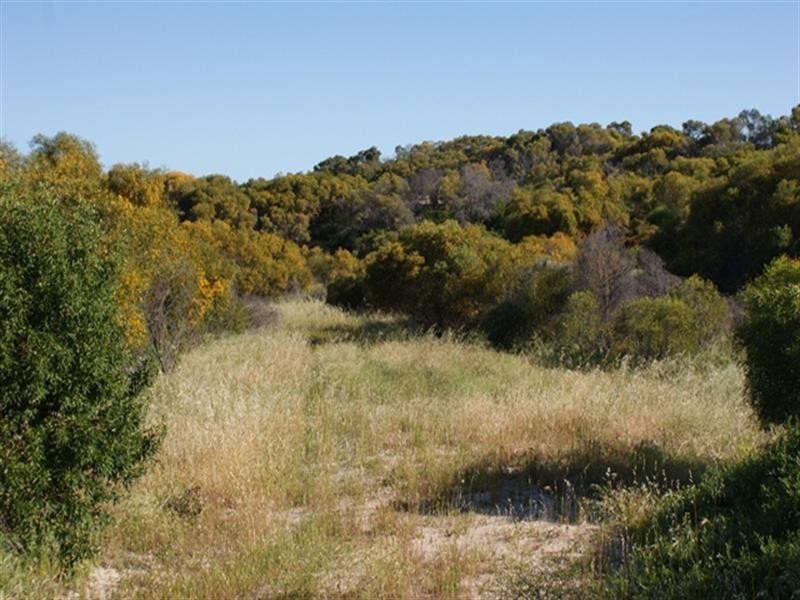 Lot 127 Bottlebrush Cove, Port Denison WA 6525