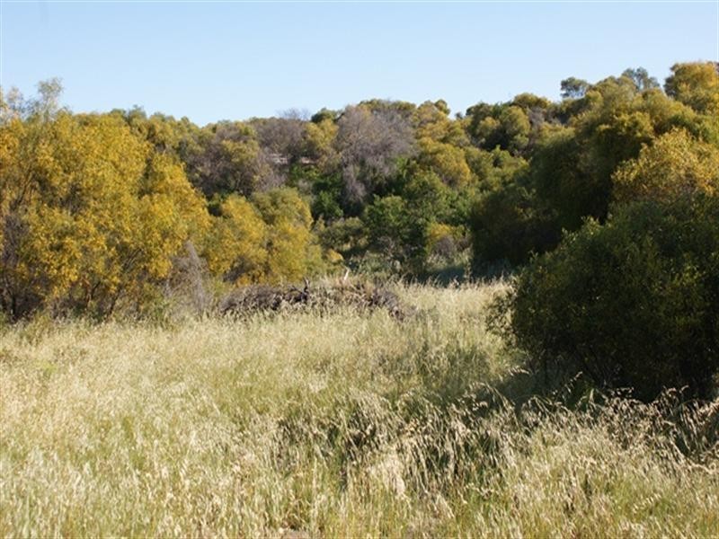 Lot 127 Bottlebrush Cove, Port Denison WA 6525