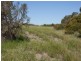 Lot 127 Bottlebrush Cove, Port Denison WA 6525