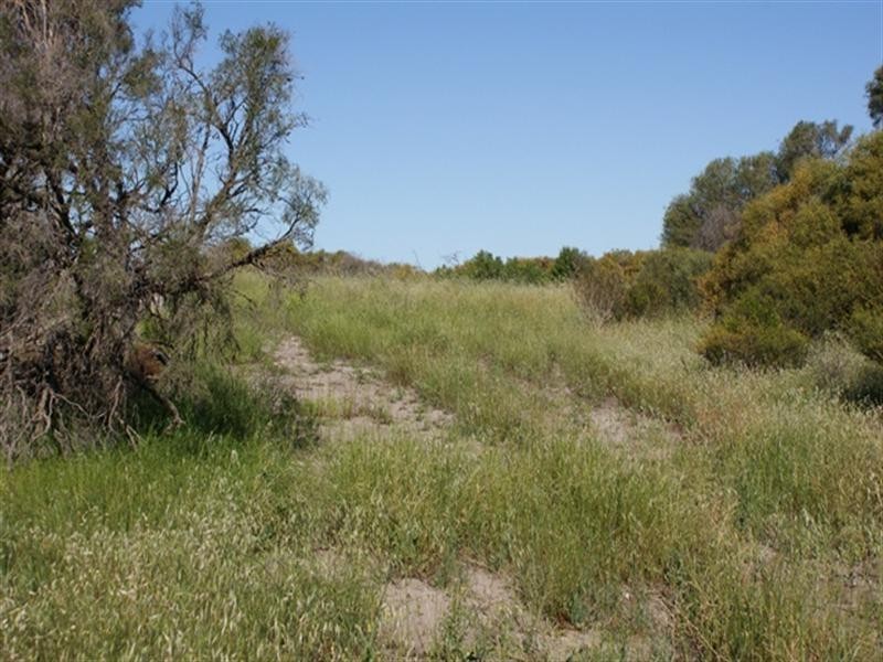 Lot 127 Bottlebrush Cove, Port Denison WA 6525