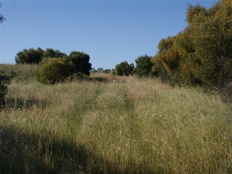 Lot 127 Bottlebrush Cove, Port Denison WA 6525