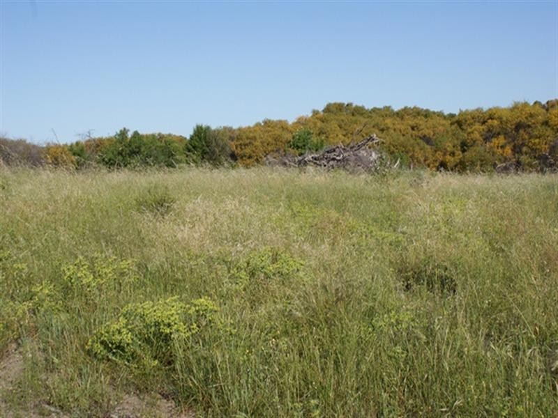 Lot 127 Bottlebrush Cove, Port Denison WA 6525