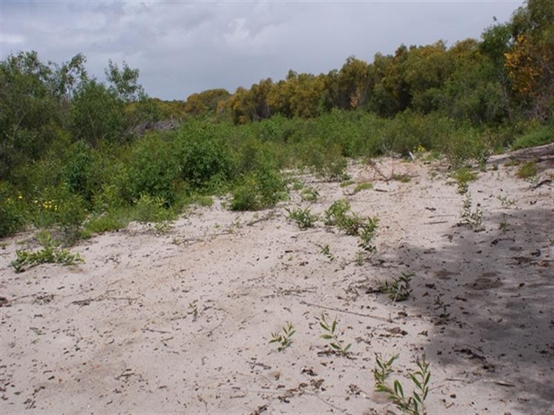 Lot 125 Bottlebrush Cove, Port Denison WA 6525