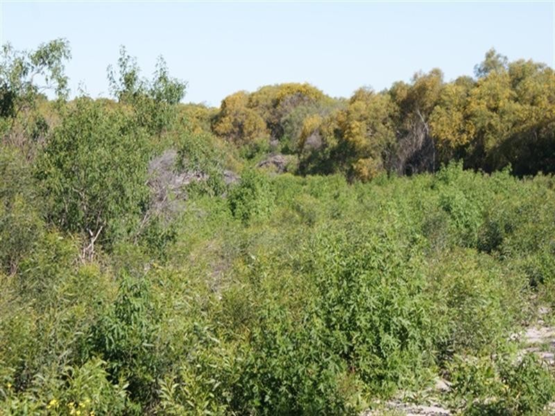 Lot 125 Bottlebrush Cove, Port Denison WA 6525