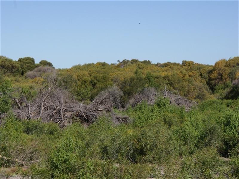 Lot 125 Bottlebrush Cove, Port Denison WA 6525