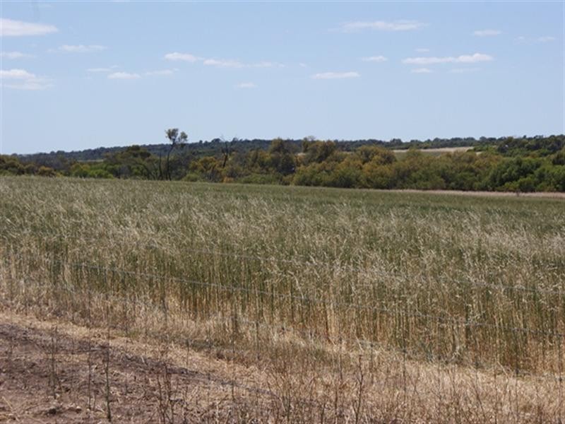 Lot 102 Padbury Road, Bonniefield WA 6525