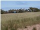 Lot 102 Padbury Road, Bonniefield WA 6525