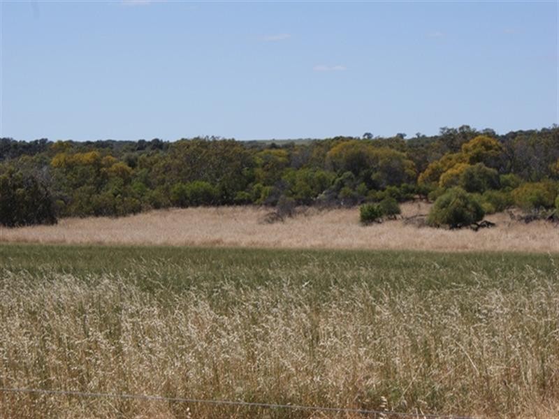 Lot 102 Padbury Road, Bonniefield WA 6525