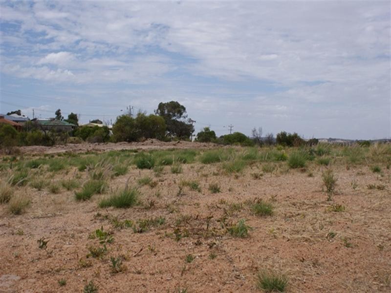 5 Bond Street, Port Denison WA 6525