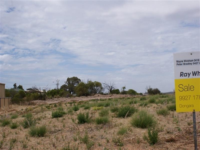 5 Bond Street, Port Denison WA 6525