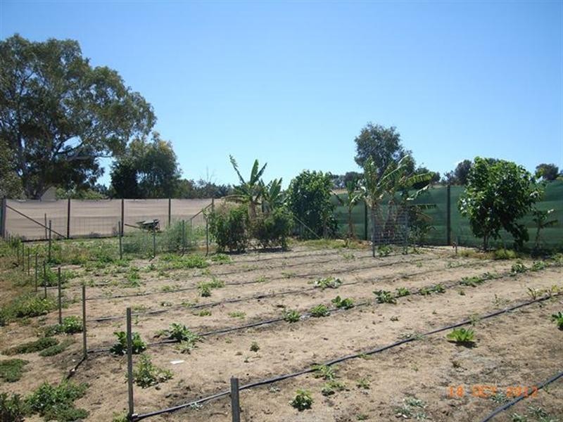 4 Fripp Street, Irwin WA 6525