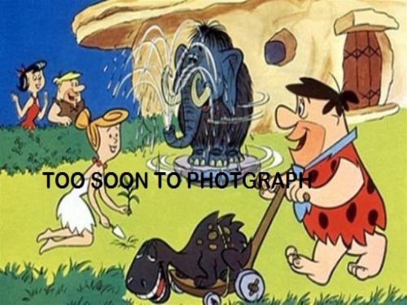 10 William Street, Mingenew WA 6522