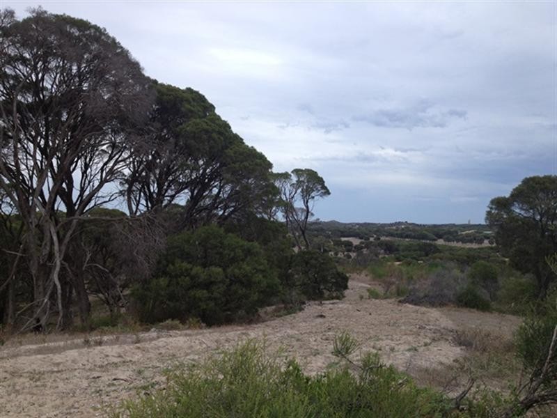 81 Acacia Road, Yardarino WA 6525