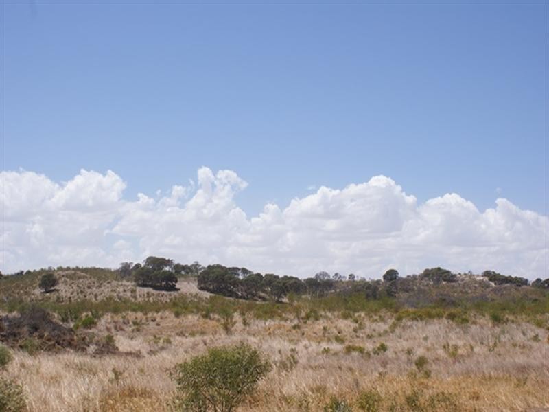 81 Acacia Road, Yardarino WA 6525