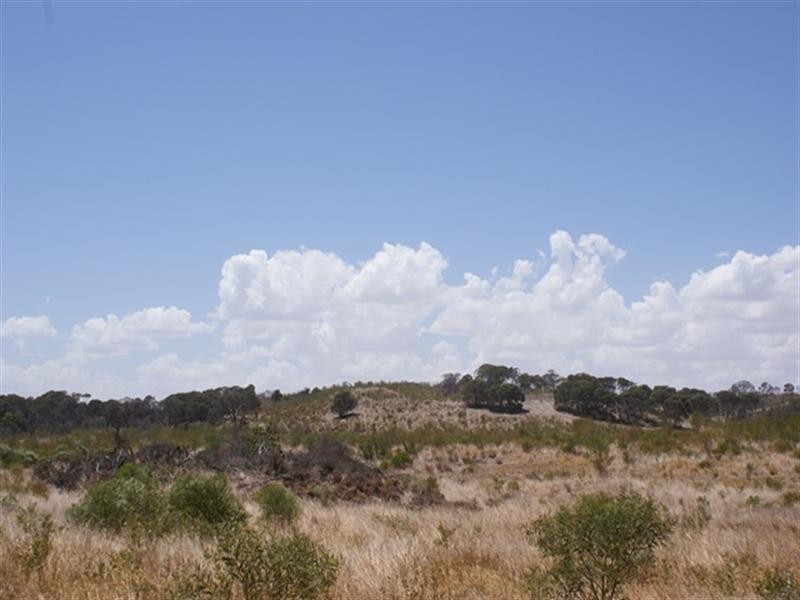 81 Acacia Road, Yardarino WA 6525