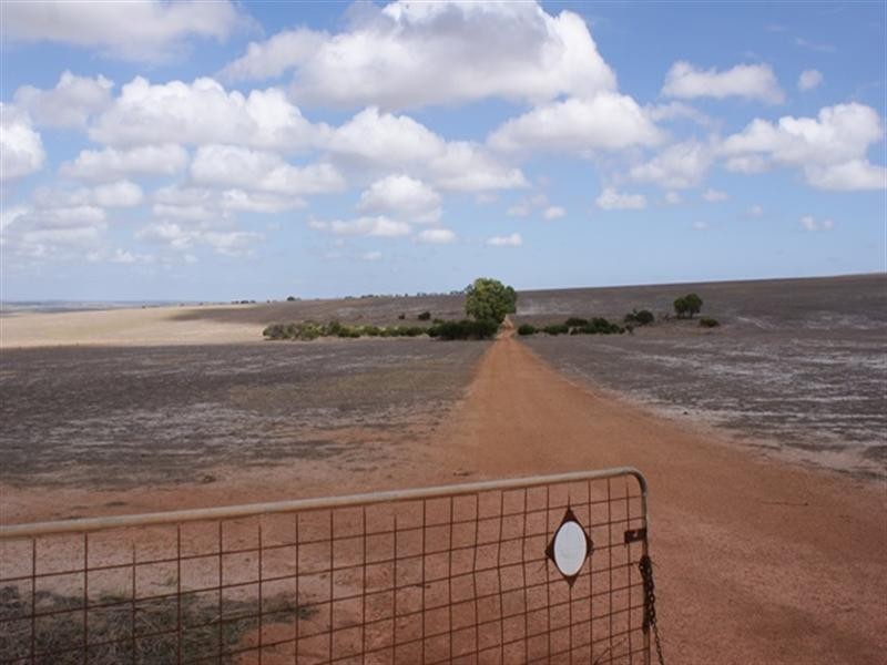 1986 Allanooka Springs Road, Allanooka WA 6525