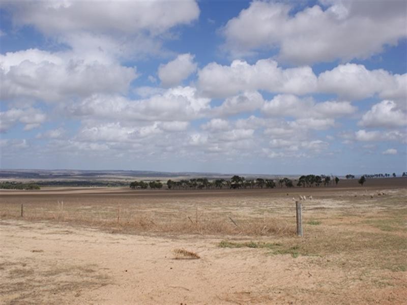 1986 Allanooka Springs Road, Allanooka WA 6525