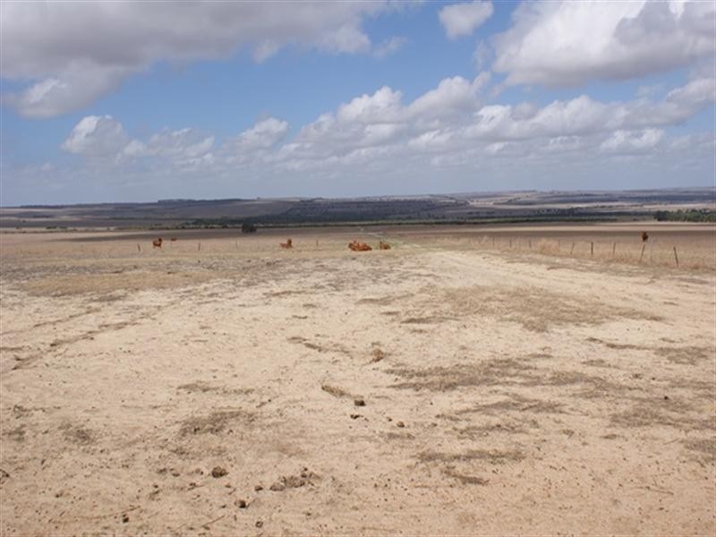 1986 Allanooka Springs Road, Allanooka WA 6525