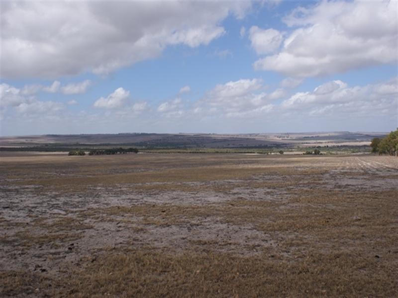 1986 Allanooka Springs Road, Allanooka WA 6525