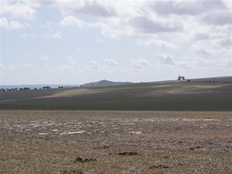 1986 Allanooka Springs Road, Allanooka WA 6525