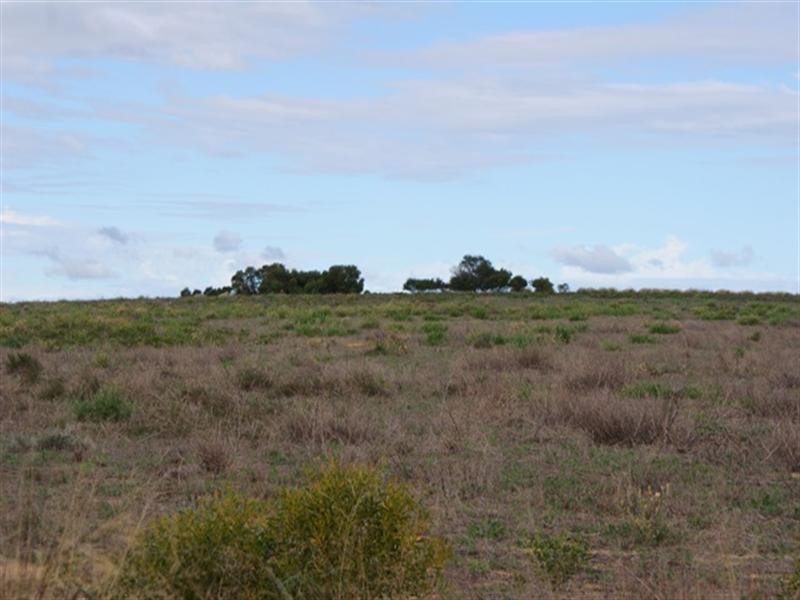 2368 Wye Farm Road, Dongara WA 6525